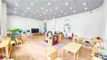 聚焦0-3歲嬰幼兒照護(hù)服務(wù)，共筑科學(xué)育兒新生態(tài)——上海研討會圓滿召開